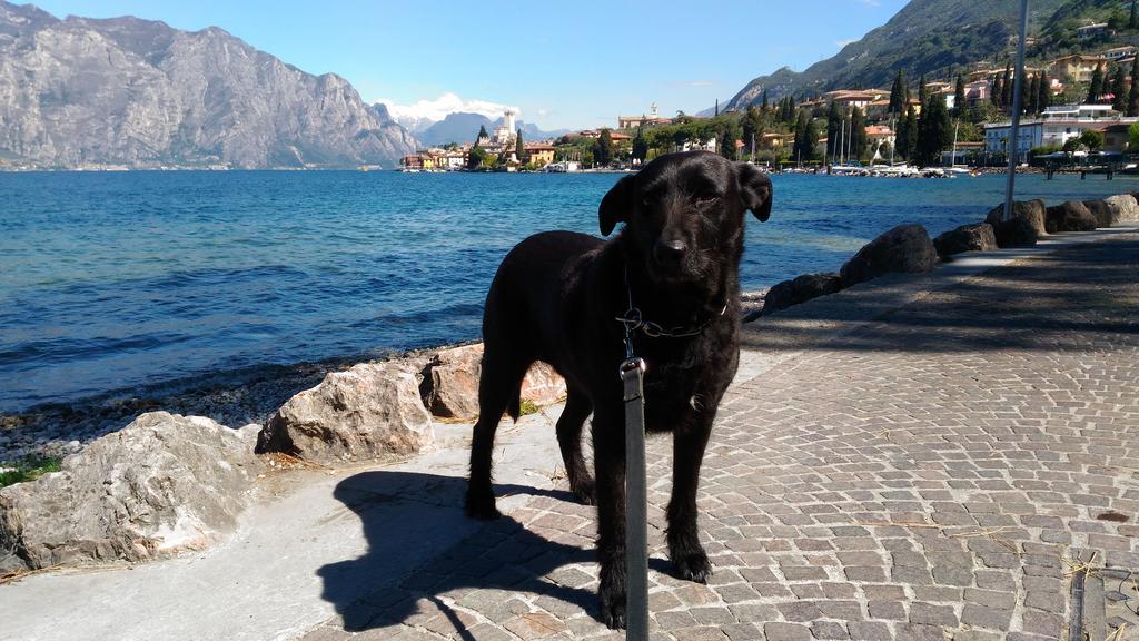 Casa Bianca Hotel Malcesine Bagian luar foto