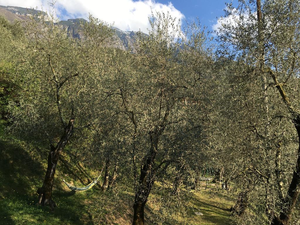Casa Bianca Hotel Malcesine Bagian luar foto
